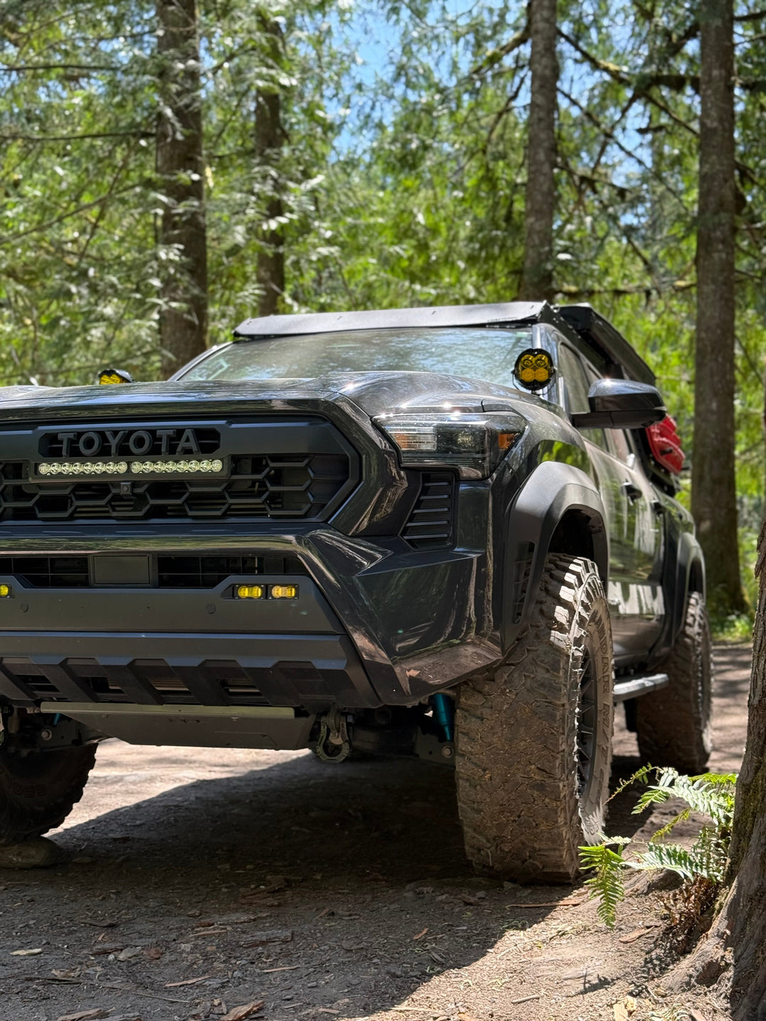 Tacoma