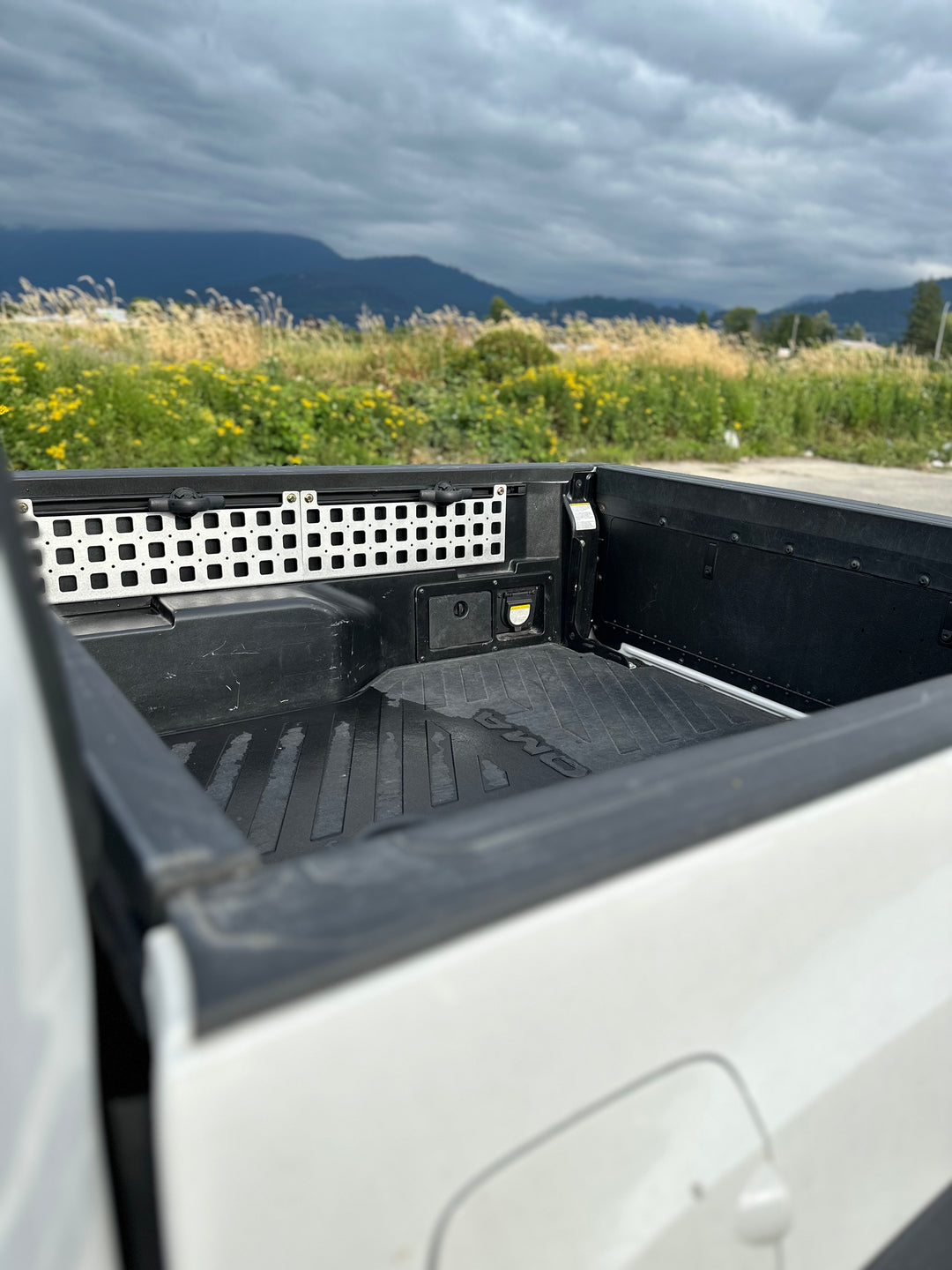 BPF 05-23 Tacoma bed Molle panels installed on a black truck bed with a protective liner, shown outdoors with a scenic mountain and field background.