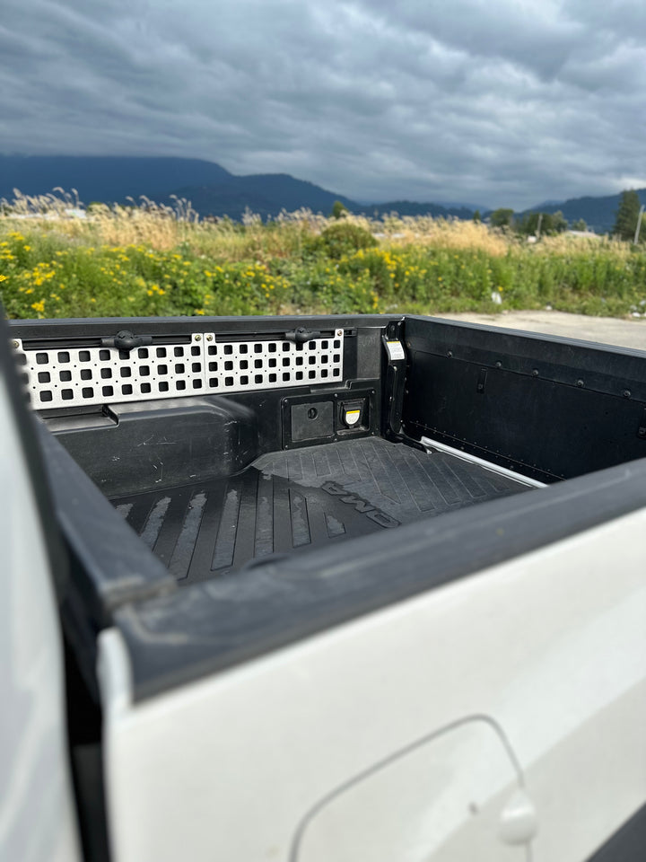 BPF 05-23 Tacoma bed Molle panels installed on a black truck bed with a protective liner, shown outdoors with a scenic mountain and field background.